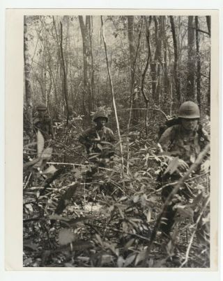 Rare Vintage Vietnam War Press Photo Soldiers March In Zone D Jungle 1965