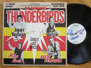 Rare Vintage Vinyl - The Fabulous Thunderbirds - Chrysalis Records Pv 41250 - Nm