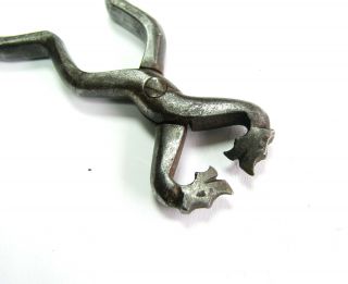 Very Old Early 1900 Snake Dragon Head Smaller Primitive Antique Sugar Tongs