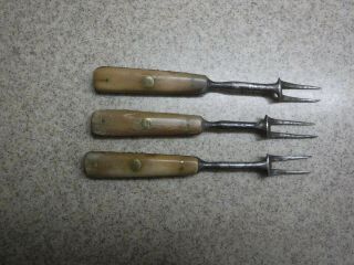 3 Antique 2 Prong Old Forks Primitive Pre Civil War Era ? Bone Handle Forks 5.  75