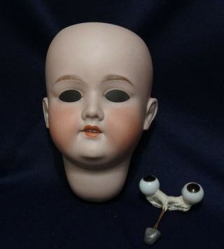 Large Antique German Bisque Doll Head Armand Marseille W/ Brown Sleep Eyes
