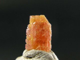 Extremely Rare Gem Vayrynenite Crystal From Pakistan - 0.  75 Carats