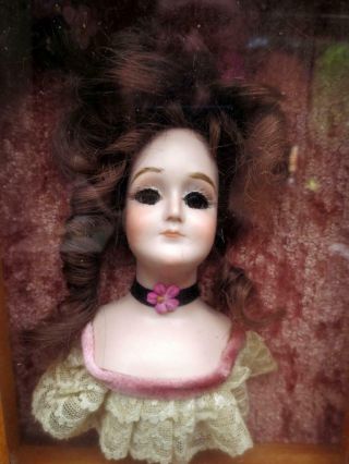Vintage Porcelain Germany Half Doll related Kestner Gibson Girl Shadow Box 3