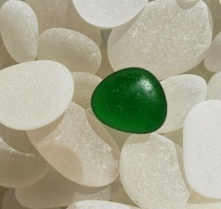 Sea Glass Flawless Rare Emerald Green Gem Dime Sized Jq Beach Find " C "