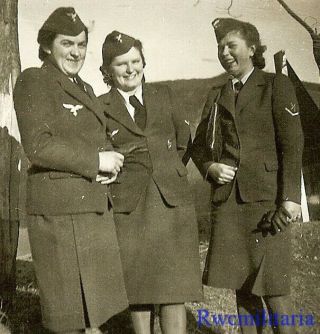Rare Jovial Trio Of Female Luftwaffe Uniformed Helferin Girls In Field