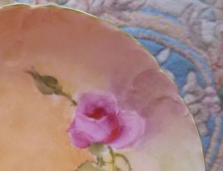 gorgeous antique Hand Painted plate roses R.  C.  Tilly Bavaria 3