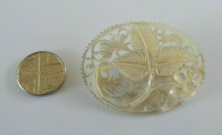 Antique/vintage Oval Mother Of Pearl Brooch With Filigree Foliate Decoration.