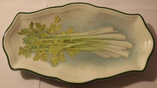 Rare C1890s Antique Villeroy & Boch Mettlach 12 " Celery Plate Dish Other Ware