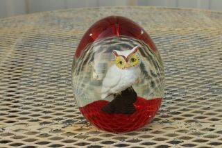 Vintage Rare 1976 Maude And Bob St.  Clair Art Glass Owl Paperwight