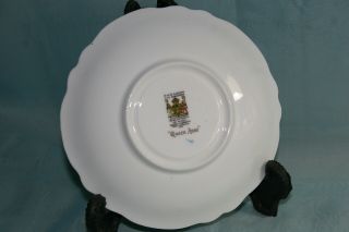 Rare Vintage Paragon bone china orphan saucer - Queen Anne - handpainted 2
