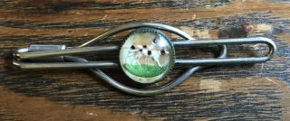 Vintage Intaglio Reverse Paint Under Glass Tie Bar Clasp Money Clip Hunting Dogs