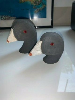 2 Old Ralph Malpage Coot Duck Decoy Wooden Heads - Painted,  Glass Eyes 3.  5 " 2.  5 "