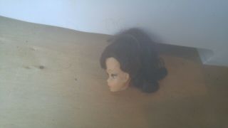 1960 ' s Vintage Ponytail Barbie Doll Head 2