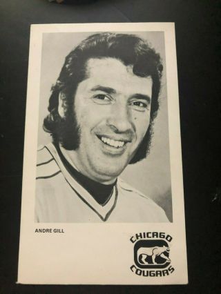 Rare 1974/75 Andrea Gill Chicago Cougars Team Issue Photo Postcard Wha