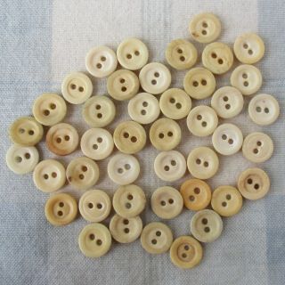 Set Of 43 Civil War Era Bovine Bone 2 - Hole Sew - Thru Buttons,  1/2 "
