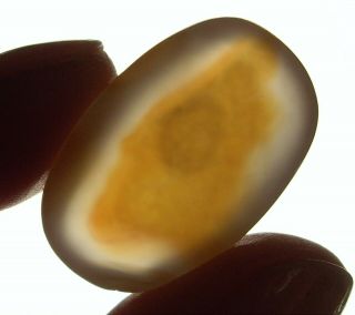 See Video Polished Rare Enhydro River Agate W/moving Bubble 33.  6cts