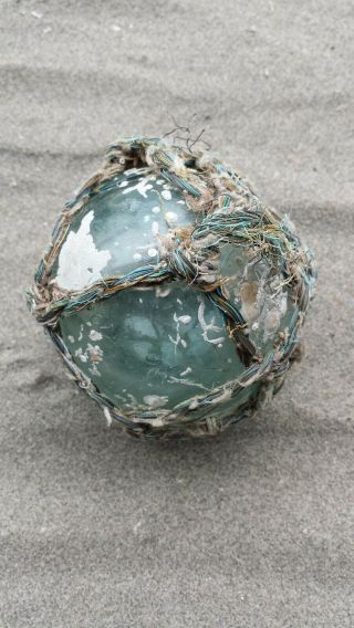 Rare Japanese Glass Fishing Float Coral/Sea growth 2