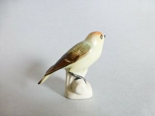 Vintage Hungarian Aquincum porcelain bird figurine,  finch 3