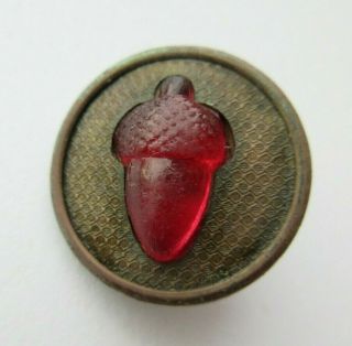 Stunning Antique Vtg Ruby Red Glass Acorn In Metal Waistcoat Button 7/8 " (s)