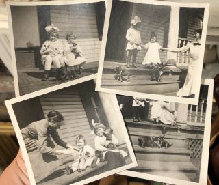 4 Adorable Antique Early 1900’s Photo Snapshots Family W/ Chihuahua Dogs Puppies