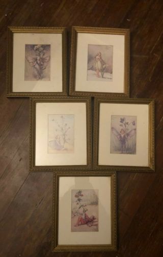 Vintage Fairy Print With Gold Frames The Is Good