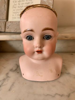 Antique German Doll Head Marked,  “dep 8,  D Made In Germany.  ”