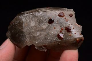 49 Natural Fanta Spessartine Garnets Smoky Crystal Cluster Rare Mineral Specimen