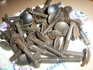 16 - Antique,  1/4 " X 2 " Long Extra Big Head Carriage Bolts With Their Hex Nuts