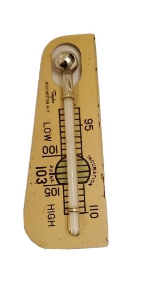 Antique Incubator Thermometer