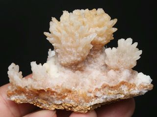 70g Rare Natural Yellow Clear Calcite Crystal Cluster Mineral Specimen