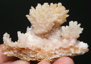70g Rare Natural yellow Clear Calcite Crystal Cluster Mineral Specimen 2