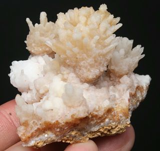 70g Rare Natural yellow Clear Calcite Crystal Cluster Mineral Specimen 3