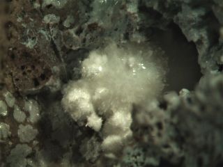 Ettringite Rare Mineral Micromount From Austria
