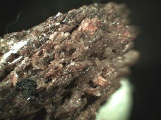 Newberyite Rare Mineral Micromount From Australia