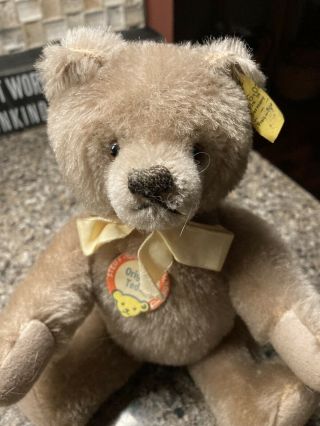 Vintage Steiff Teddy 5336.  02 With Tag