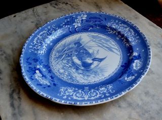 Antique Spode Dinner Plate Bird Plover Blue No.  7 Copeland England 2