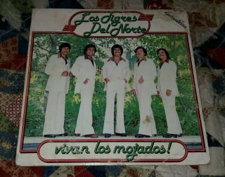 Los Tigres Del Norte " Vivan Los Mojados " Texmex NorteŃo Regional Rare Lp Vg