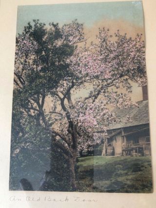 Wallace Nutting Hand Colored Photo “an Old Back Door”.  Signed & Titled