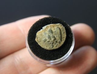 Napoleonic Button French Imperial Guard 3rd Field Hospital Russia 1812 Rare