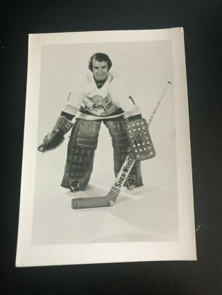 Rare 1973 - 74 Mike Curran Minnesota Fighting Saints Photo Postcard Ex,  Wha
