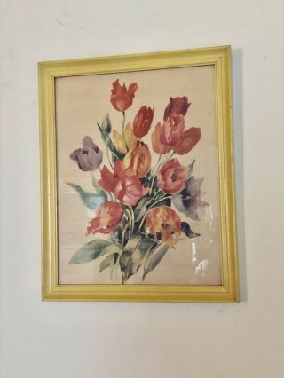 Vintage Pair Framed Botanical Floral Art Prints Frames 1920s 1930s