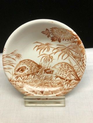Vintage Furnivals Quail Made In England Butter Pat