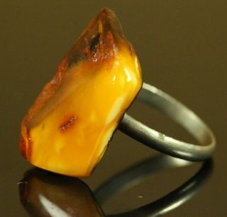 Natural Old Antique 3.  1 G Butterscotch Egg Yolk Baltic Amber Stone Ring C181