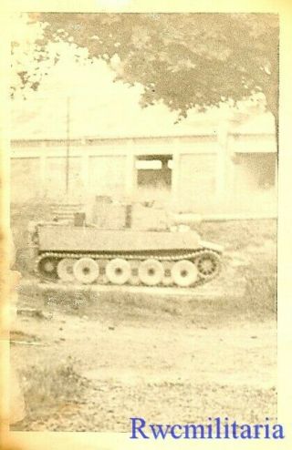 Rare German Elite Waffen Pzkw.  Vi Tiger Panzer Tank In Field By Building