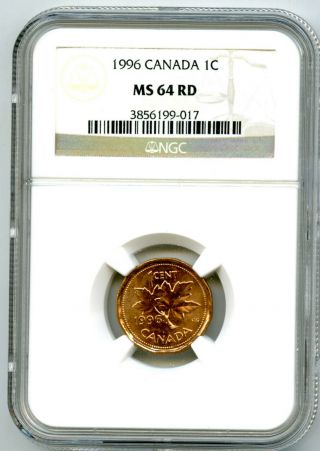 1996 Canada One Cent Ngc Ms64 Rd Copper Penny Uncirculated Extremely Rare
