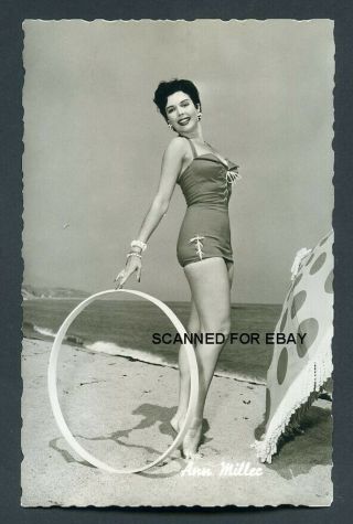 Ann Miller Swimsuit Pin Up Glamour 1950s Antique Vintage Photo Postcard
