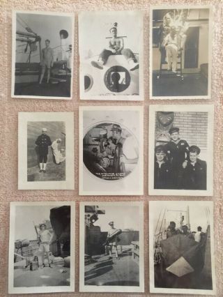 Vintage Male Military - Group Of 9 Snapshot Portraits Of Various Navy Sailors 2