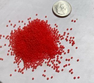 Rare Italian Antique Micro Seed Beads - 16/0 Unusual Greasy Rich Ripe Melon Red