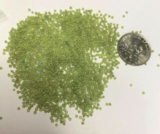 Rare Antique Micro Seed Beads - 18/0 Opaque Slightly Variegated Avocado Moss Green