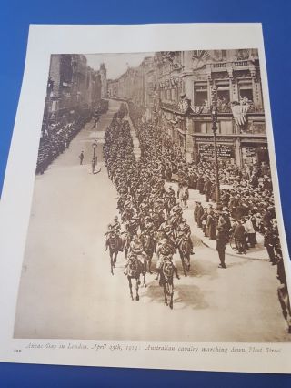 Antique Print Wwi Anzac Day In London Marching Down Fleet Street